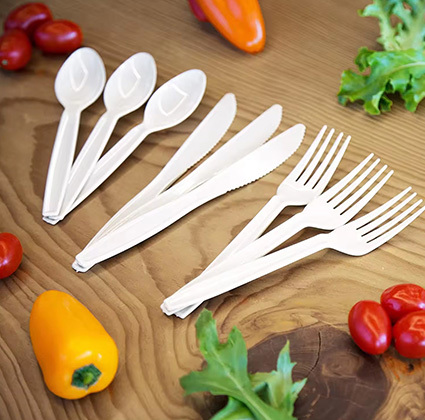Convenient Life: Advantages of Disposable Food and Tableware