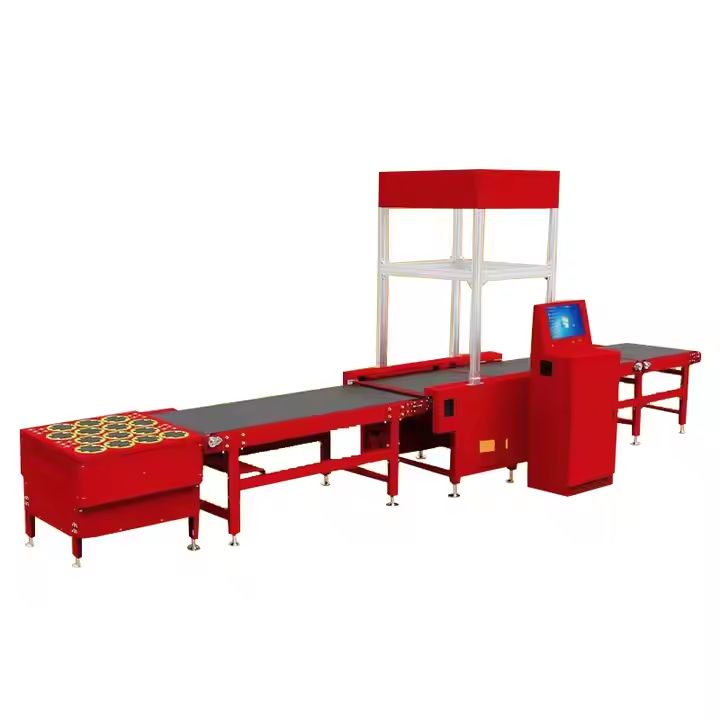 Custom Intelligent Dws + Sorting System Precise Package Dimension Weighing Scanning Conveyor Line