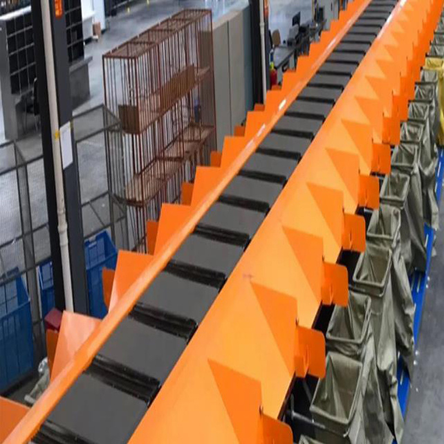 Application of DWS sorting equipment in American grain enterprises