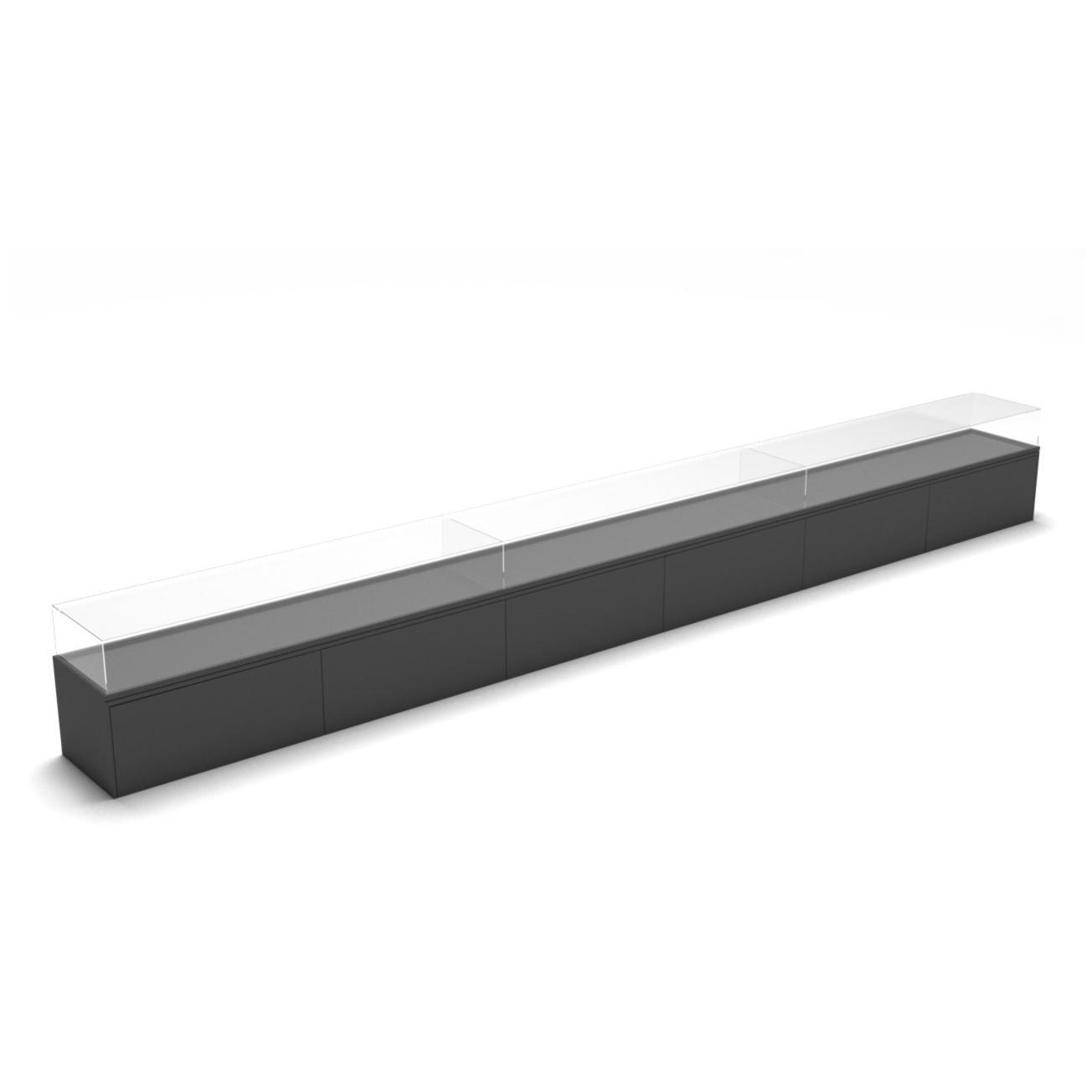 T300 Long Table Display Case
