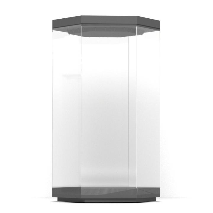 F400 Special-shaped Free-standing Display Case