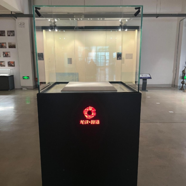 ST100 Smart Display Case
