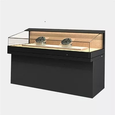 S100 Slope Display Case
