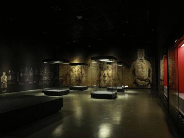 Enhancing Display with Museum Vitrines: A Comprehensive Guide