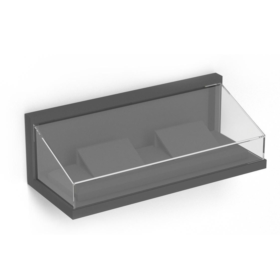W100 Wall-mounted Display Case