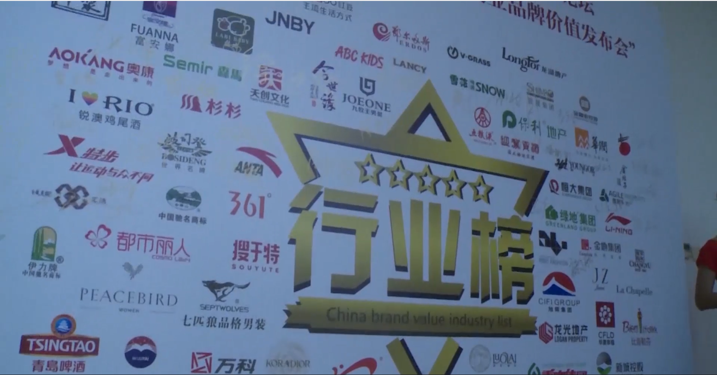  品牌实力
