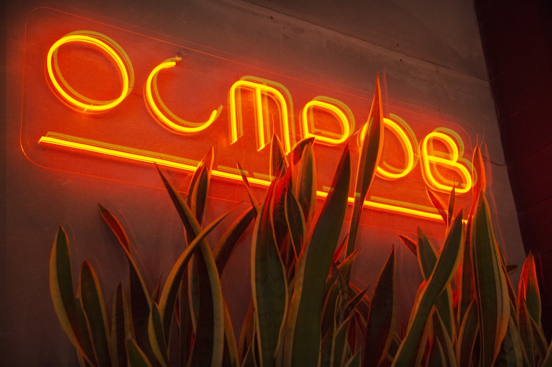 Brighten Your Space: The Rise of 24v Dimmable LED Power Supply