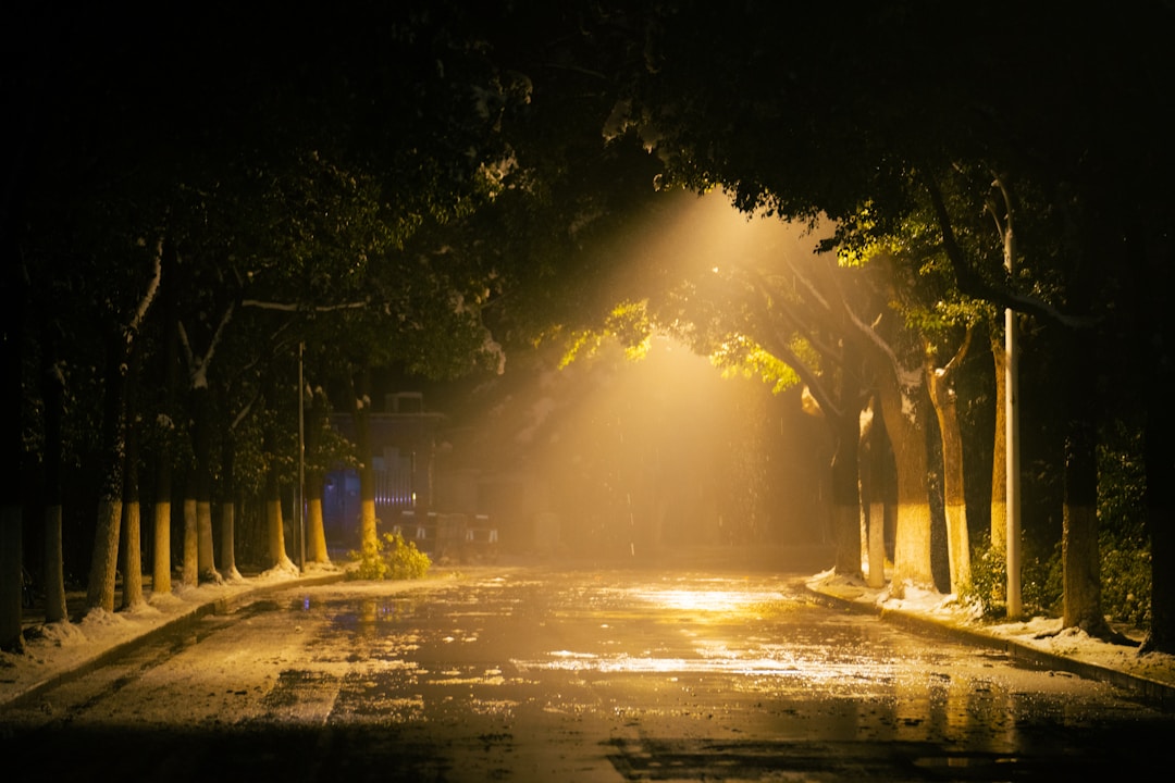 Diving Deep: The Power of IP67 Waterproof LED Drivers in Industry Applications Diving Deep: The Power of IP67 Waterproof LED Drivers in Industry Applications