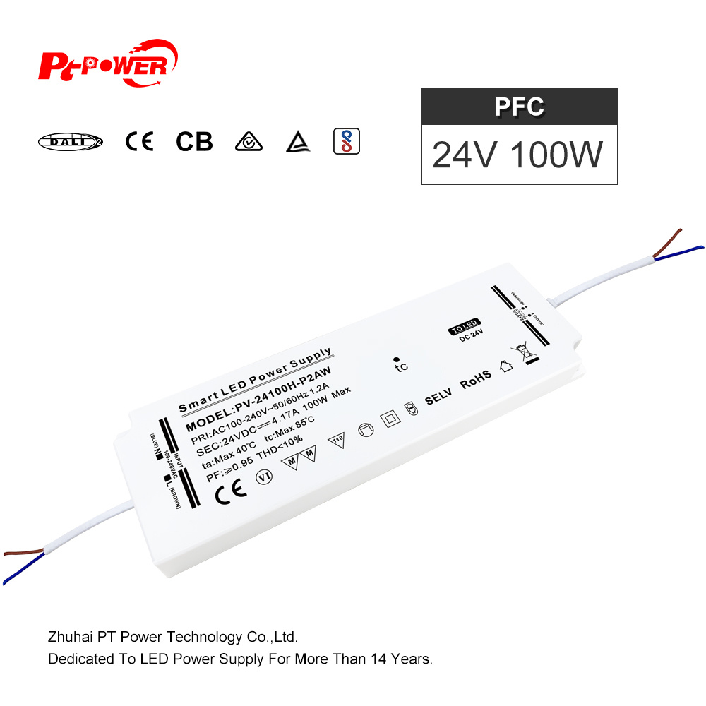 PV-24100H-P2AW
