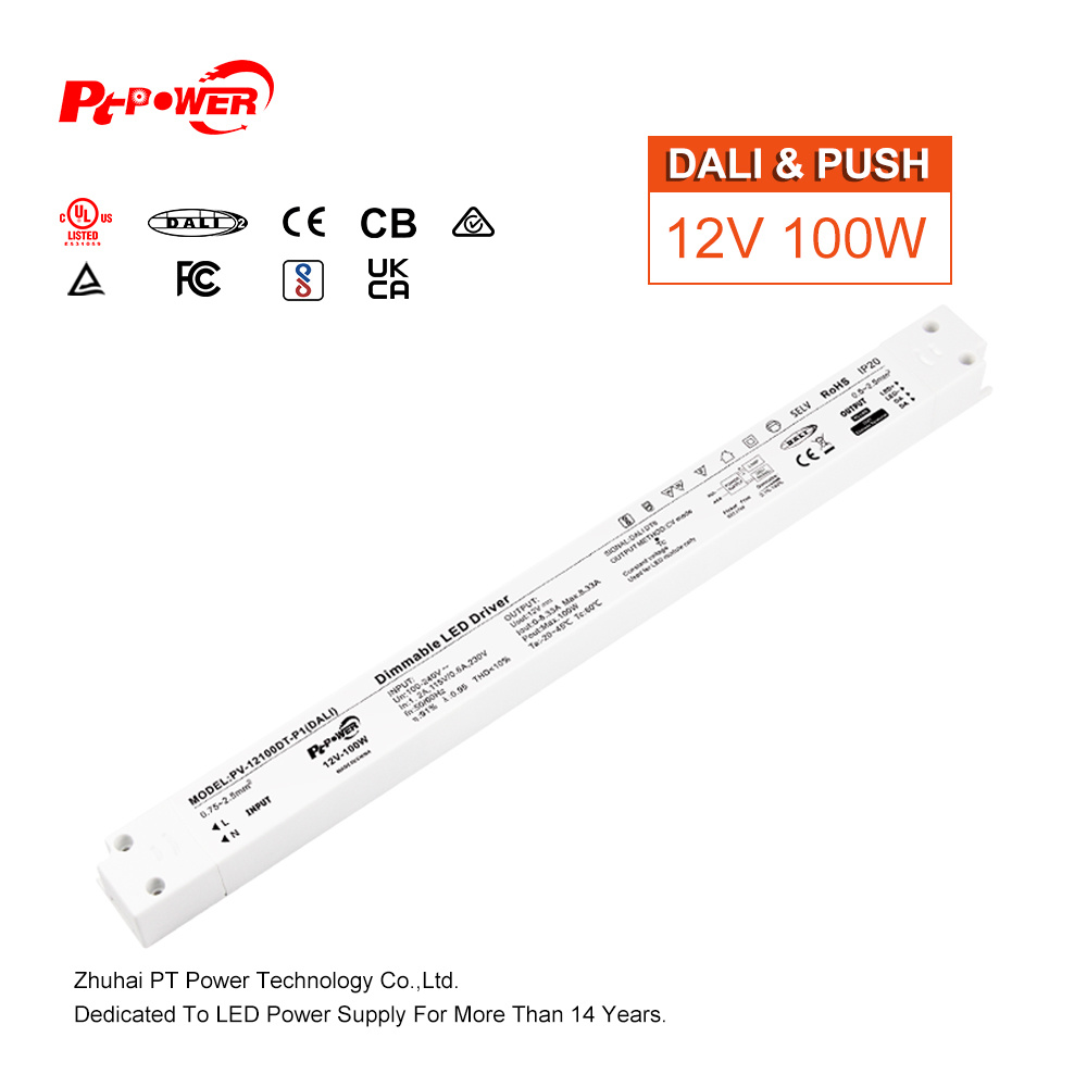 PV-12100DT-P1(DALI)