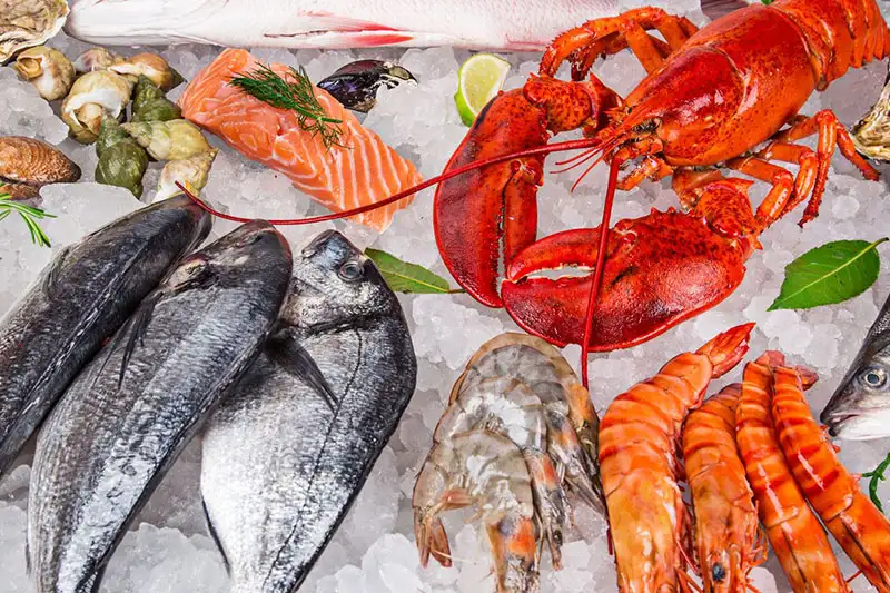 Seafood Seafood