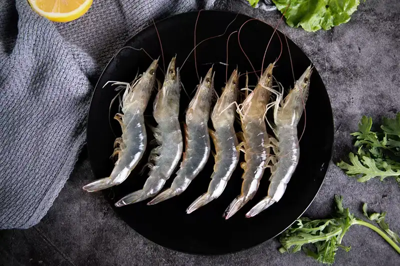 Seafood Products Seafood Products