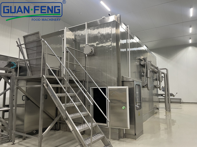 IQF Single Freeze Machine Technology
