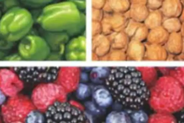 Pet food