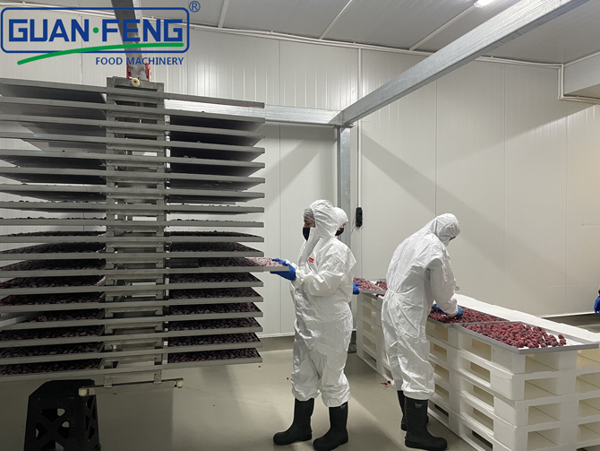 How can a freeze dryer "change the fate" of food and life?