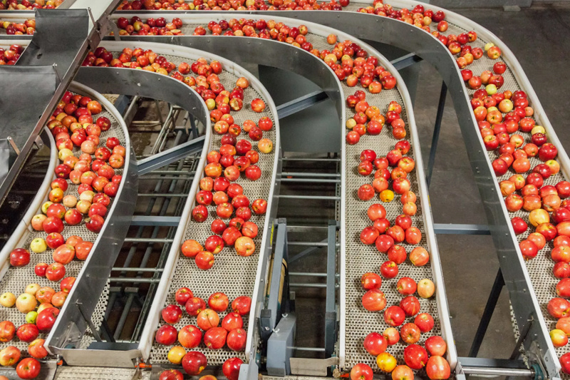Food Industry Food Industry