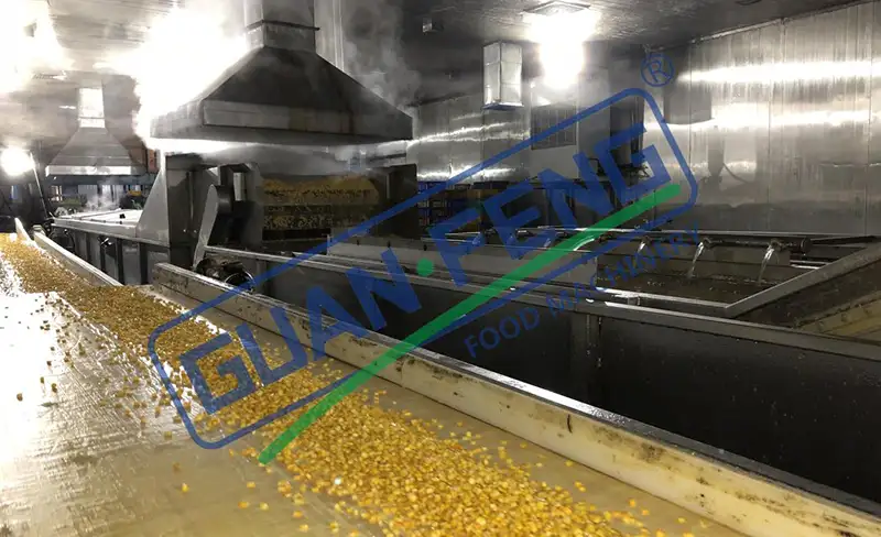 Vegetable IQF Freezing Project