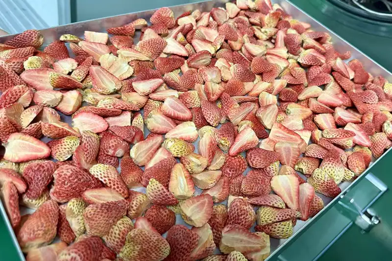 Variety Fruits & Vegetables Variety Fruits & Vegetables