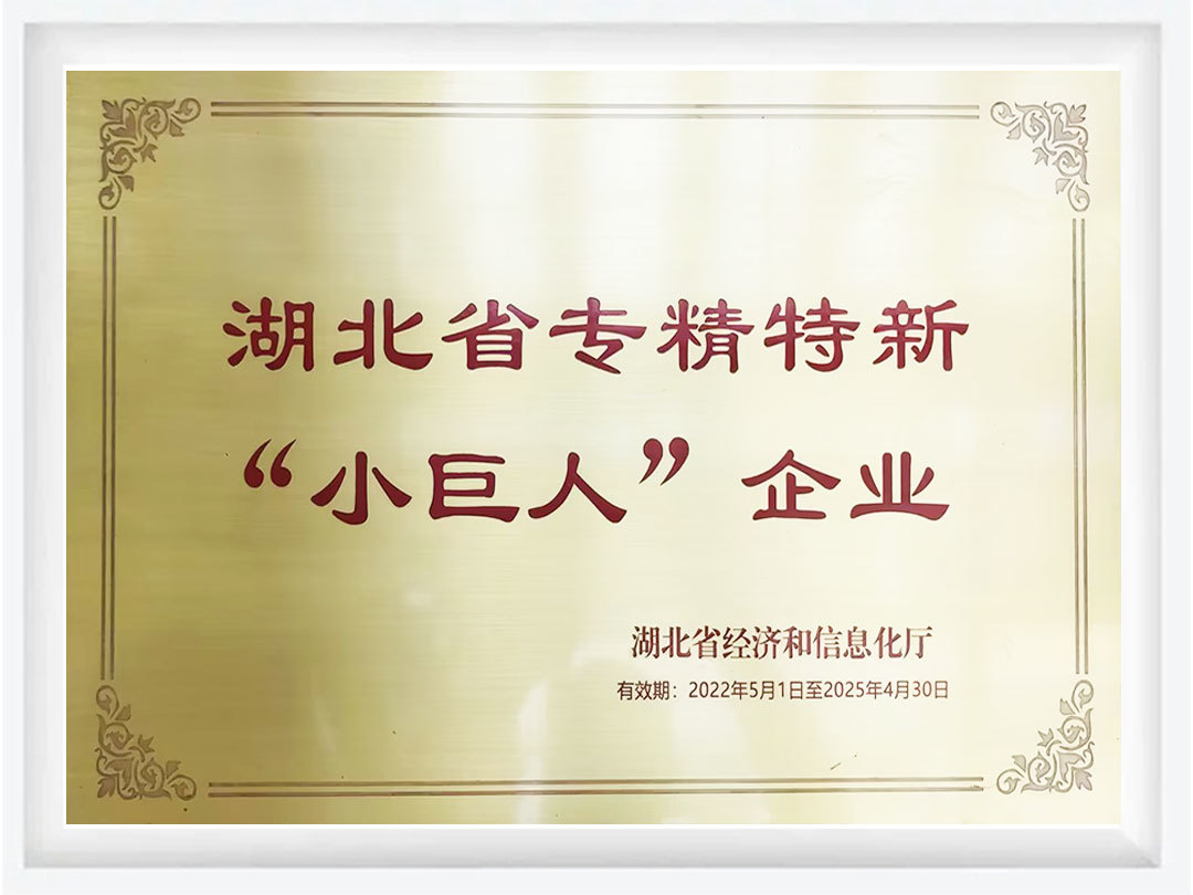 湖北省专精特新 小巨人” 企业 湖北省专精特新 小巨人” 企业
