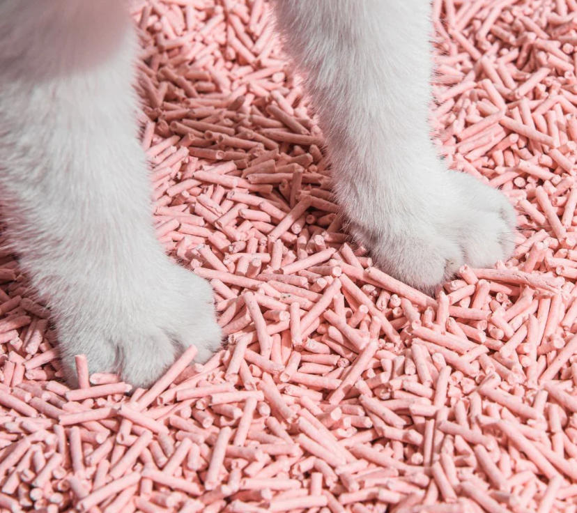 Tofu Cat Litter-Honey Peach