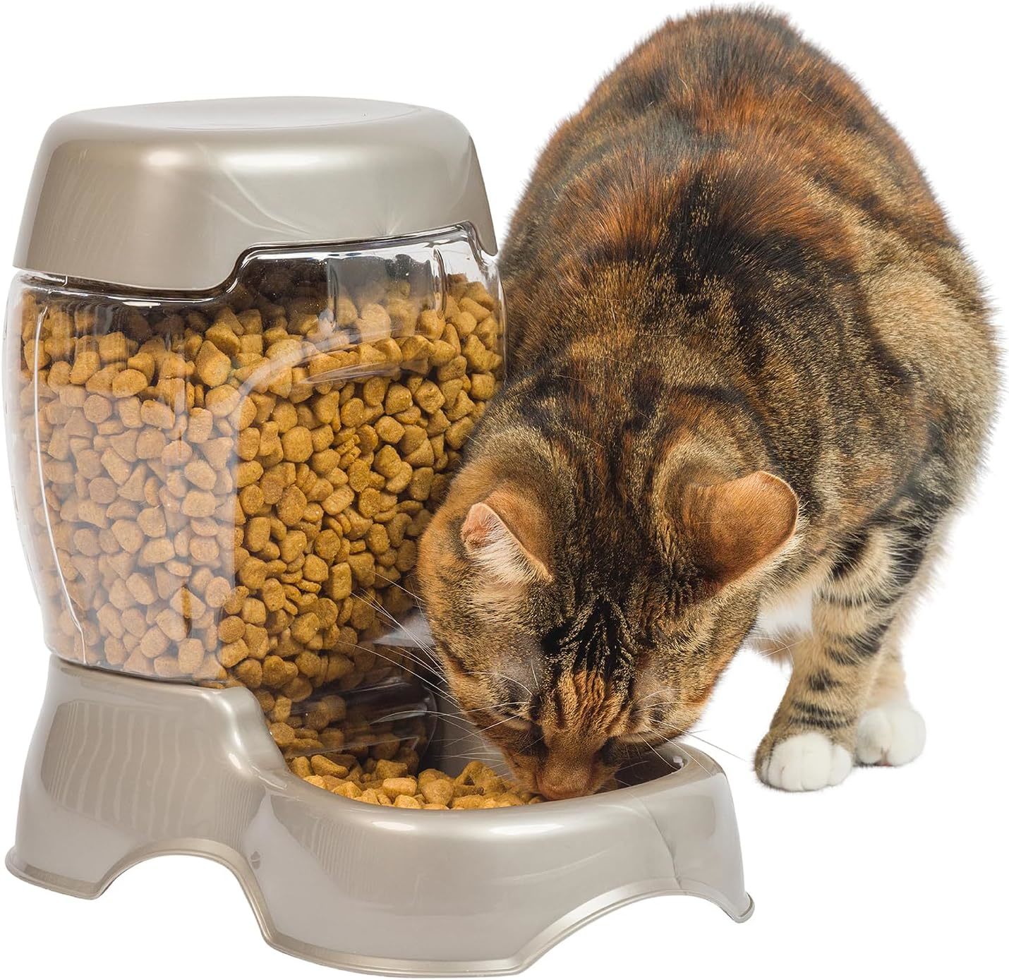 Alimentador de cachorro e gato alimentador de café para animais de estimação