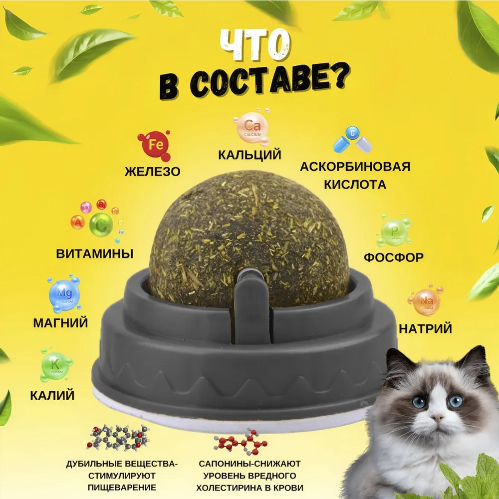 Кошачья мята