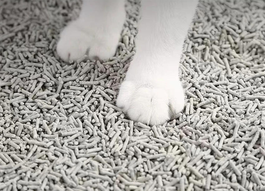 Tofu Cat Litter-Activated Carbon