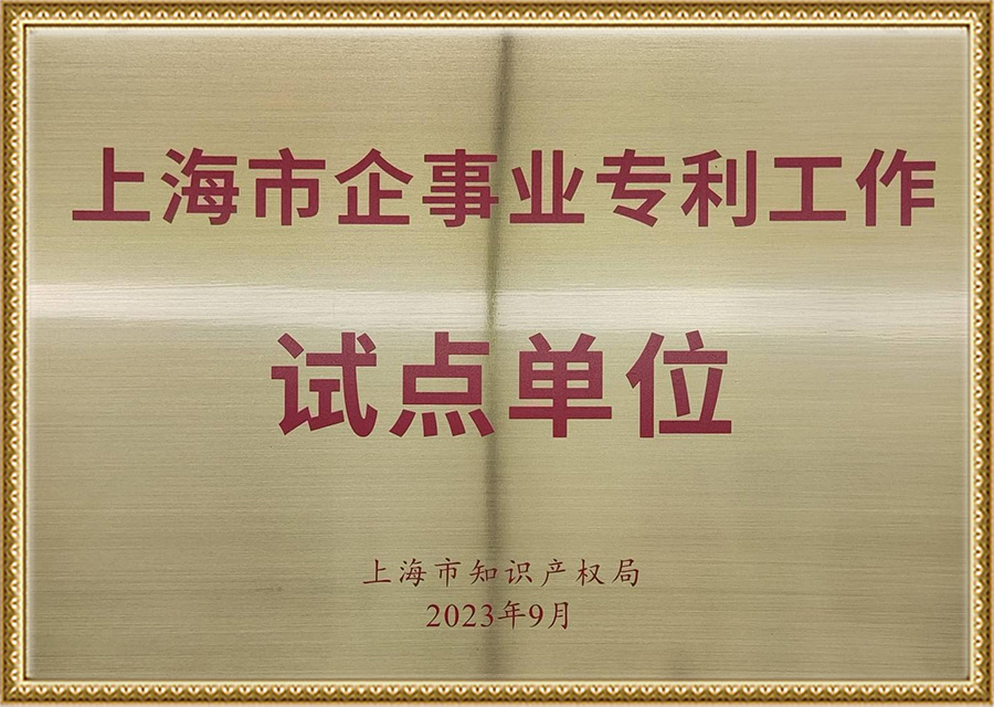 Shanghai Enterprise Patent Work Pilot Unit Shanghai Enterprise Patent Work Pilot Unit