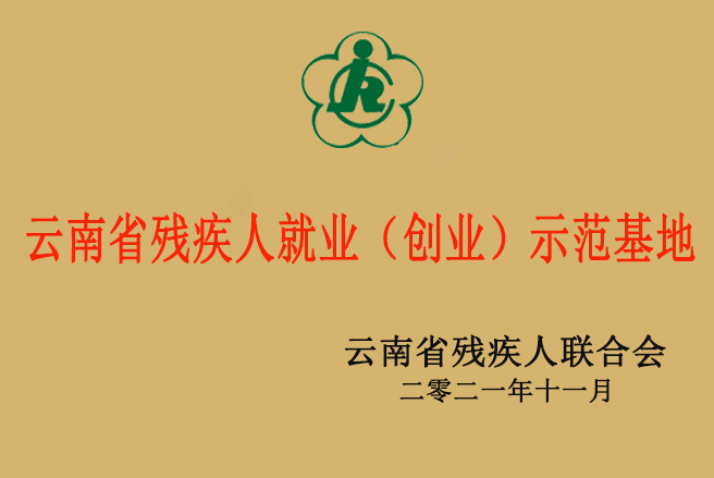 云南省残疾人就业(创业)示范基地 云南省残疾人就业(创业)示范基地