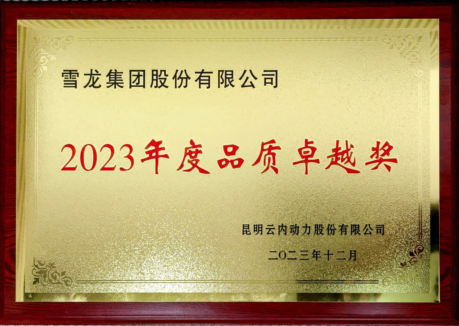 Congratulations! Xuelong Group has been awarded the "2023 Quality Excellence Award" by Yunnei Power!