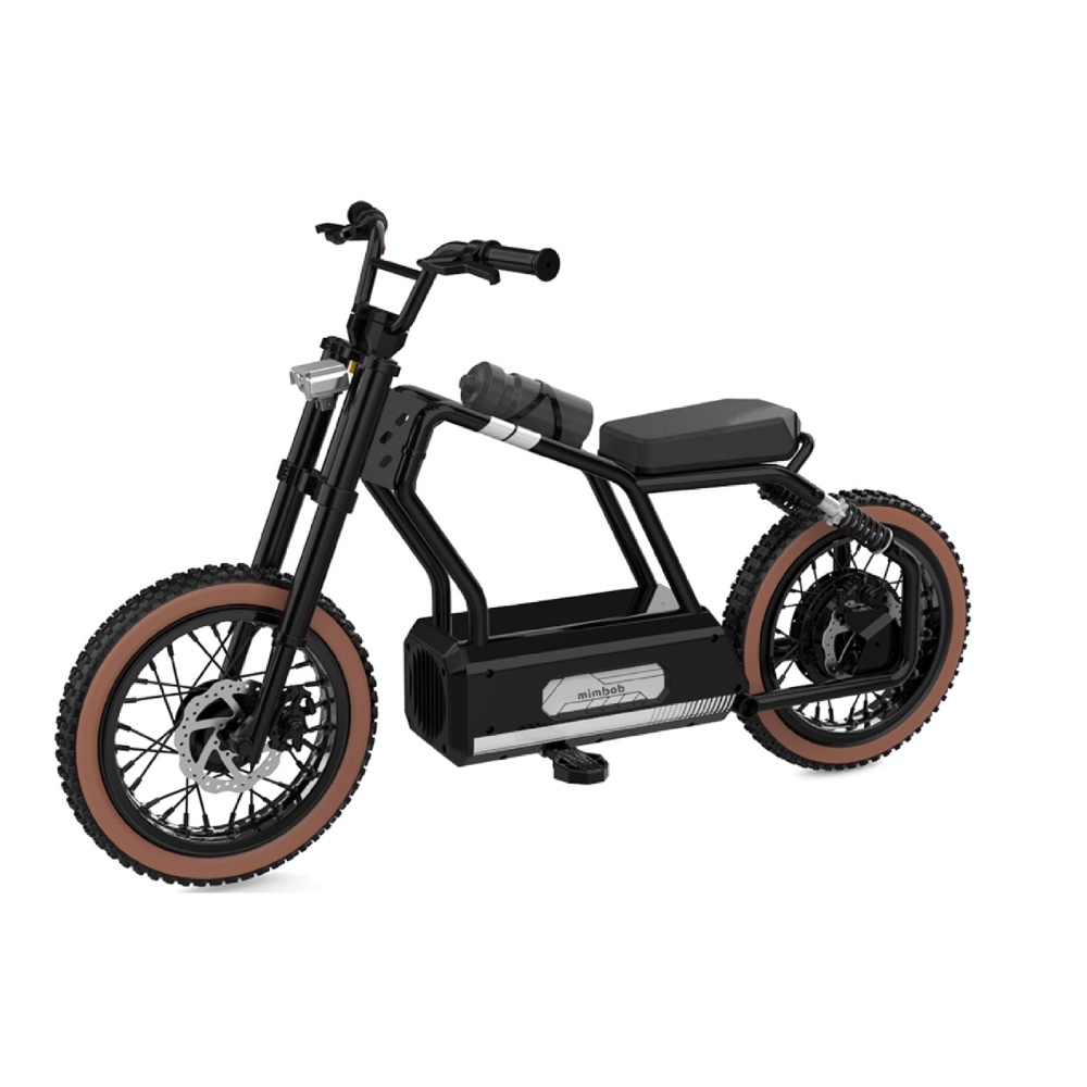 All Terrain Fat Tire E Bike from China components