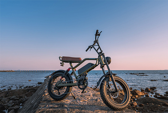 Why ride Electric Bikes