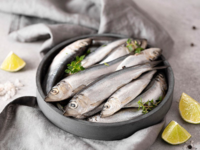 Sardines