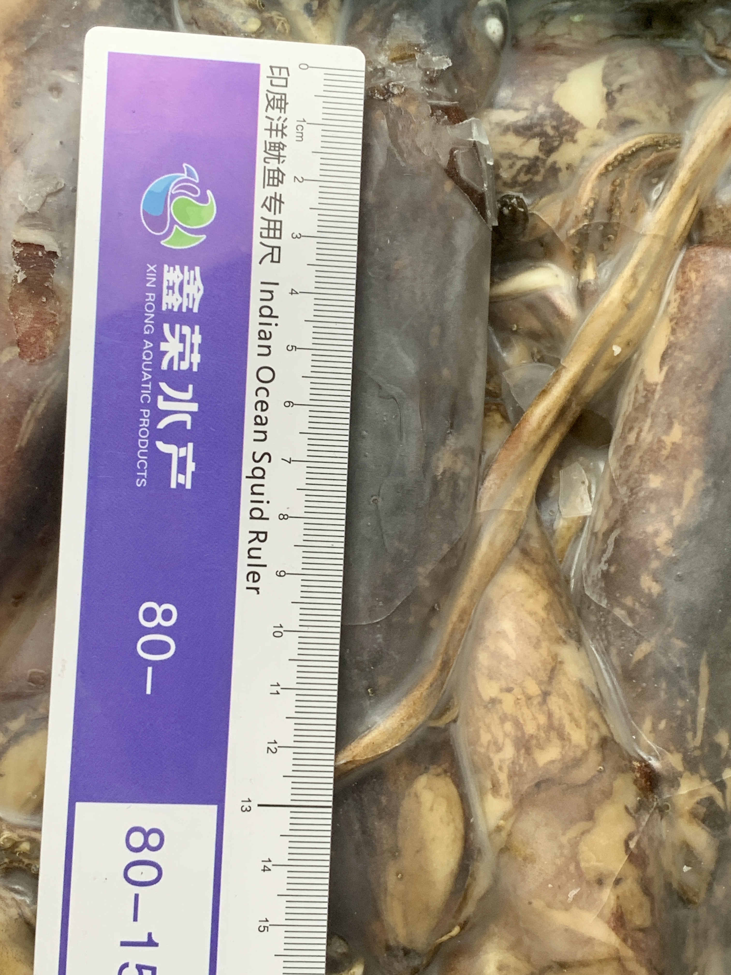Why Todarodes Sagittatus Should Be Your Next Seafood Choice: Exploring the Benefits and Culinary Delights