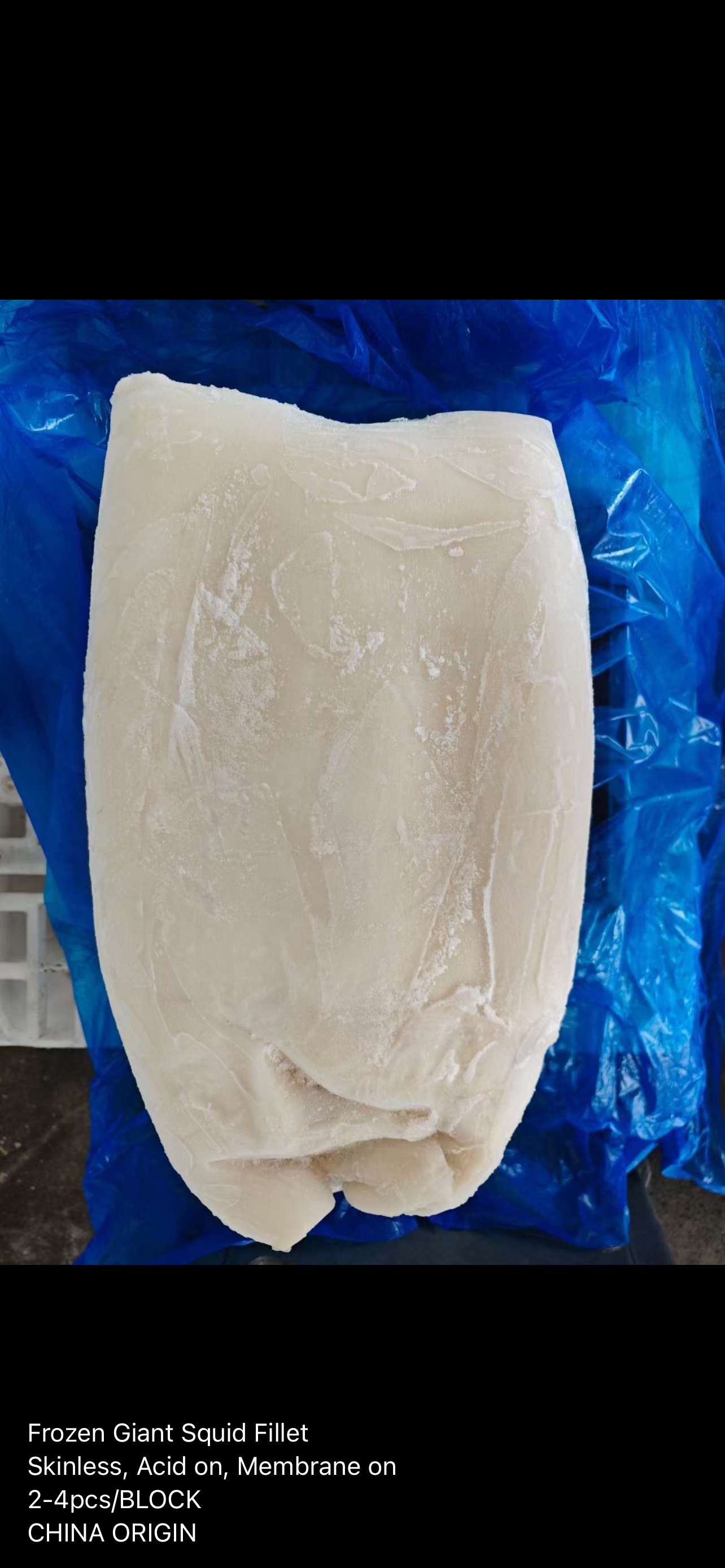 GIANT SQUID FILLET
