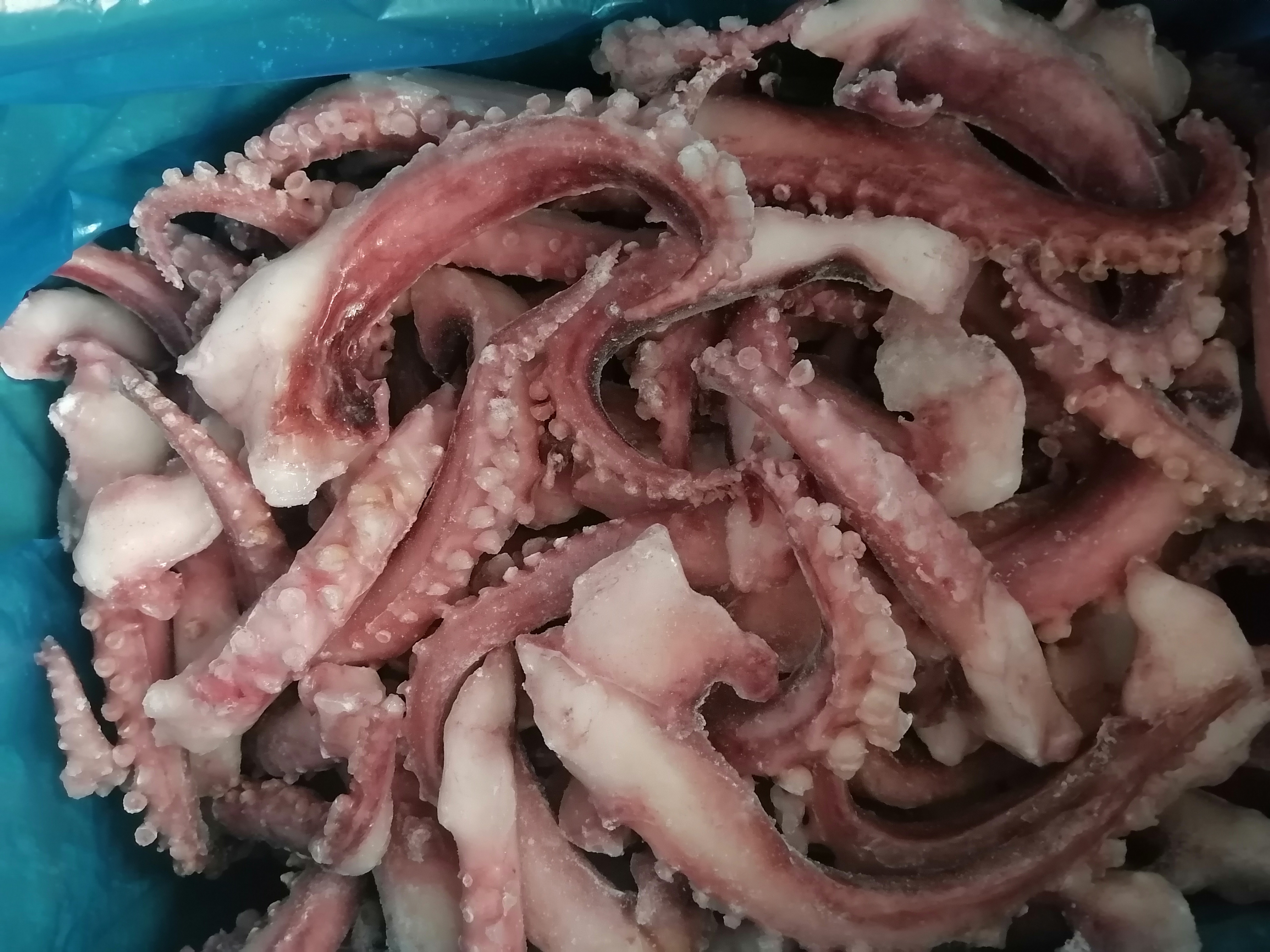 CRISPY SQUID TENTACLES