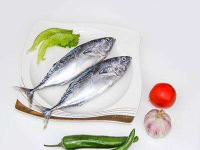 Bonito/tuna