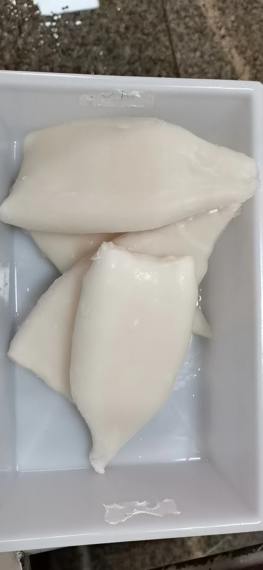 SQUID TUBE SKINLESS