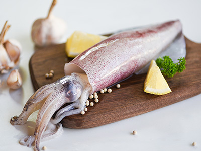 Squid