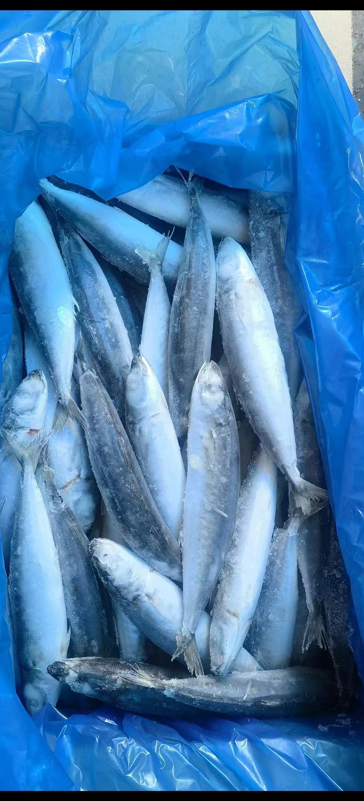 ROUND SCAD