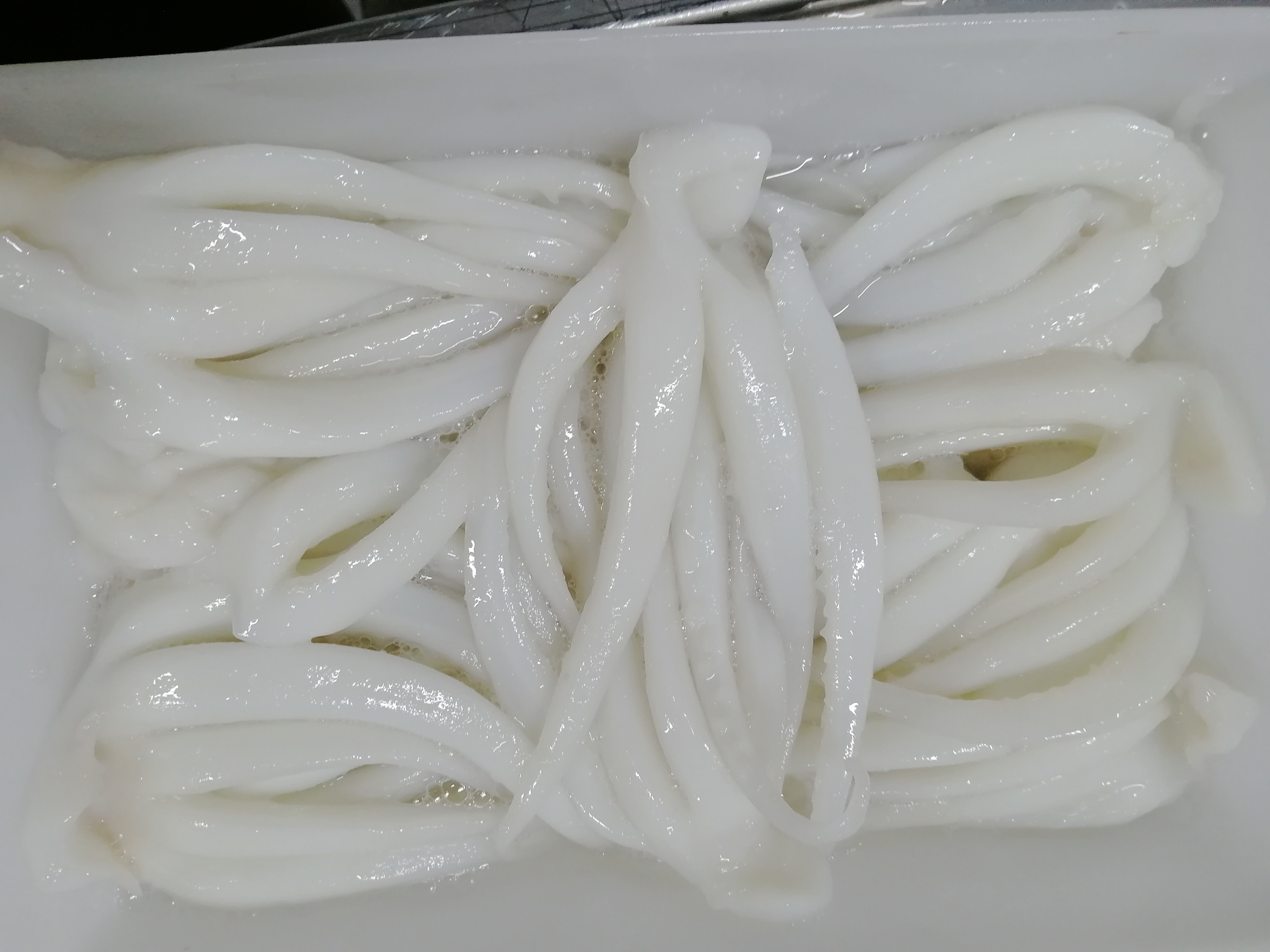 SQUID HEAD (SKINLESS)
