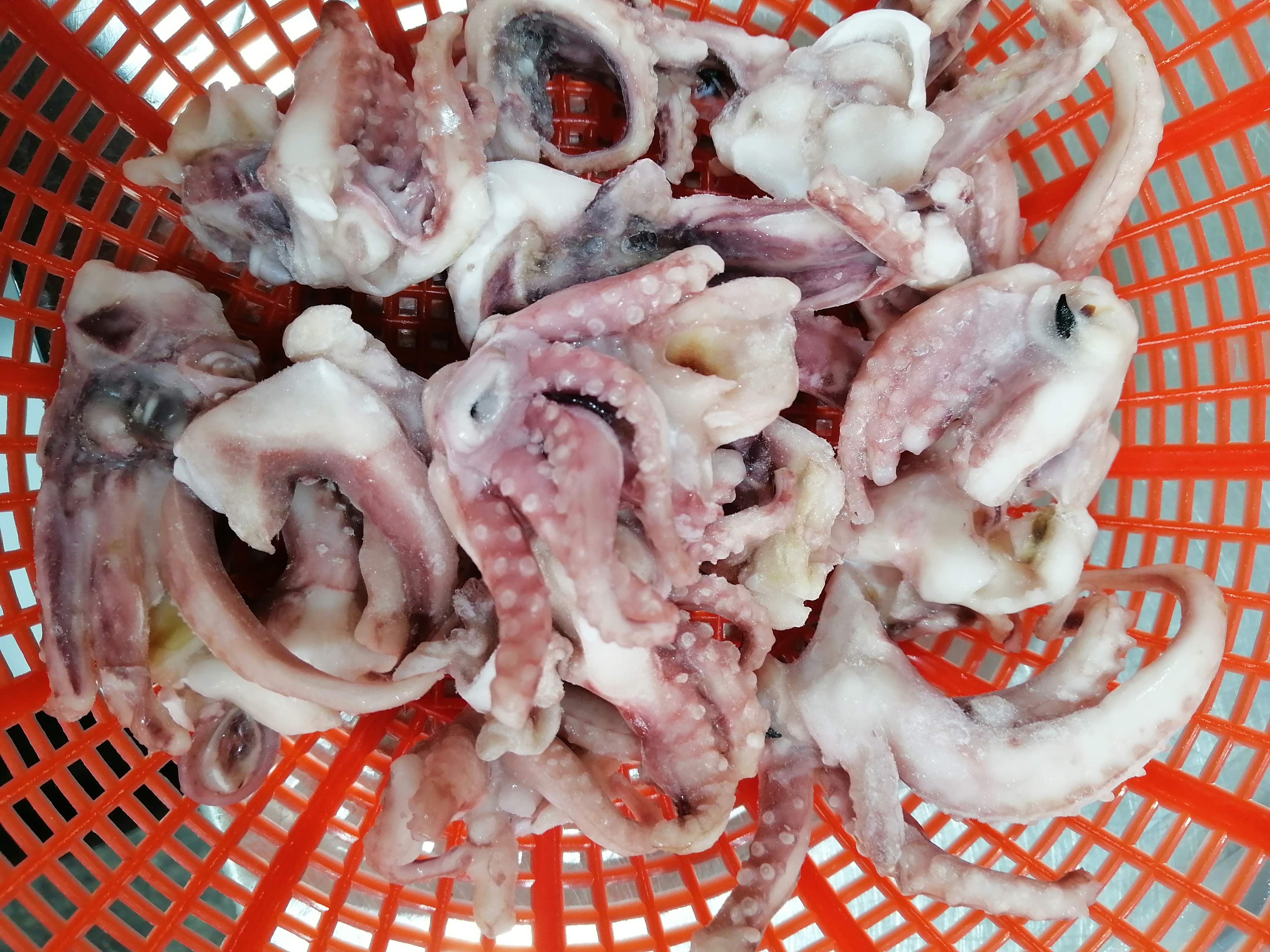 CRISPY TENTACLES ( SMALL)