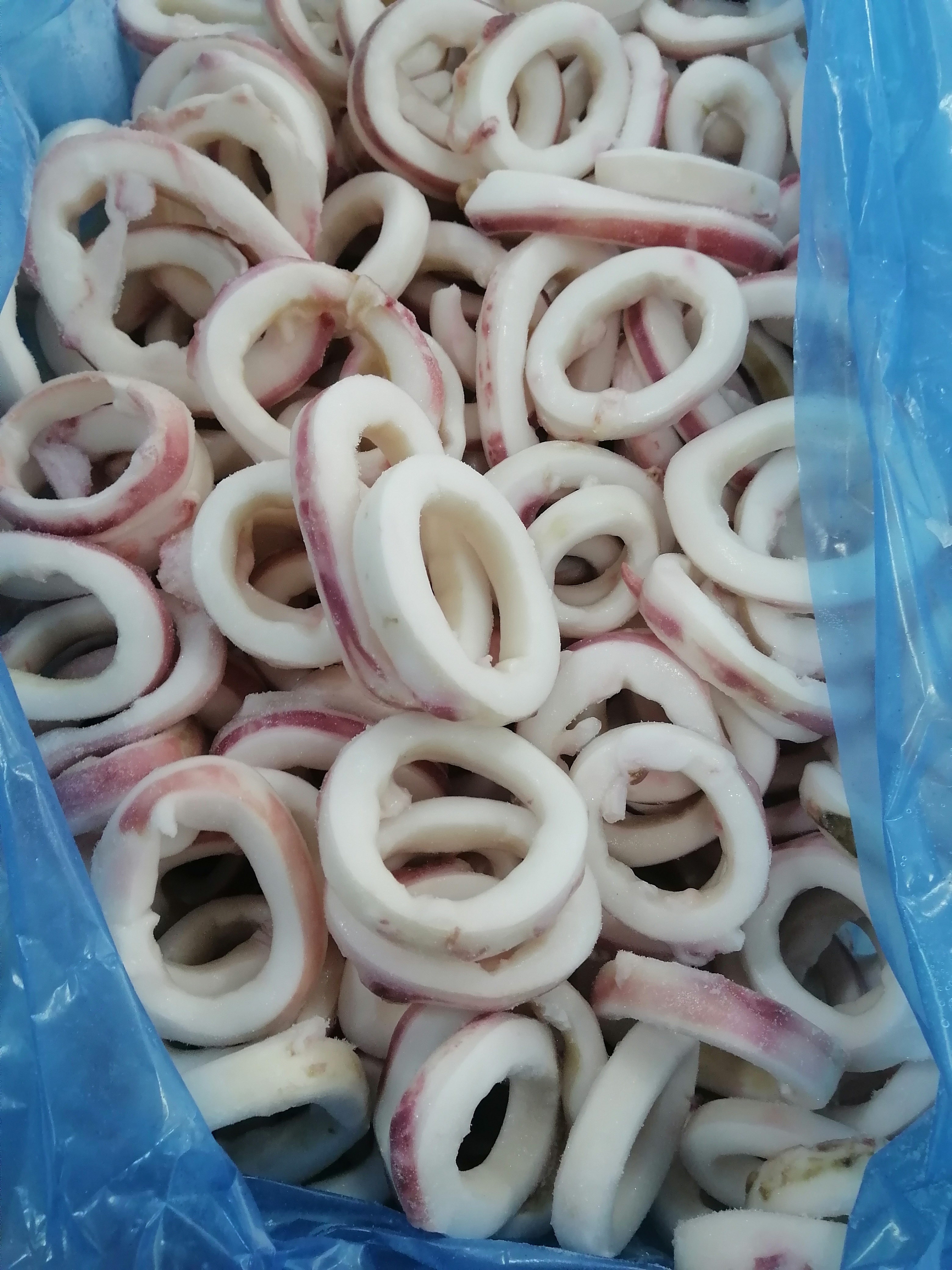 SQUID RING （SKIN ON）
