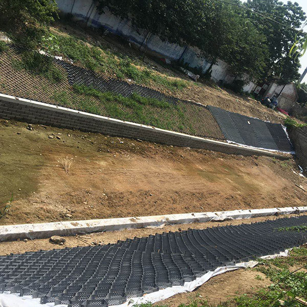 Free sample long life HDPE Geocell with factory price road construction material