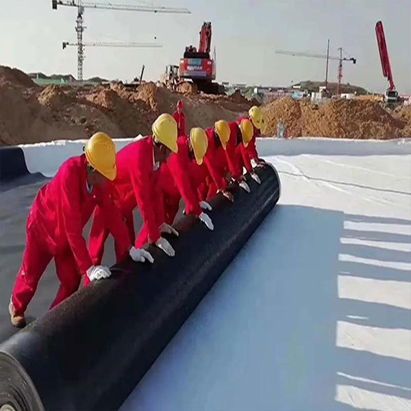 HDPE Geomembranes for Fish Pond