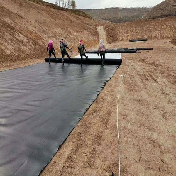 HDPE Geomembranes for Fish Pond