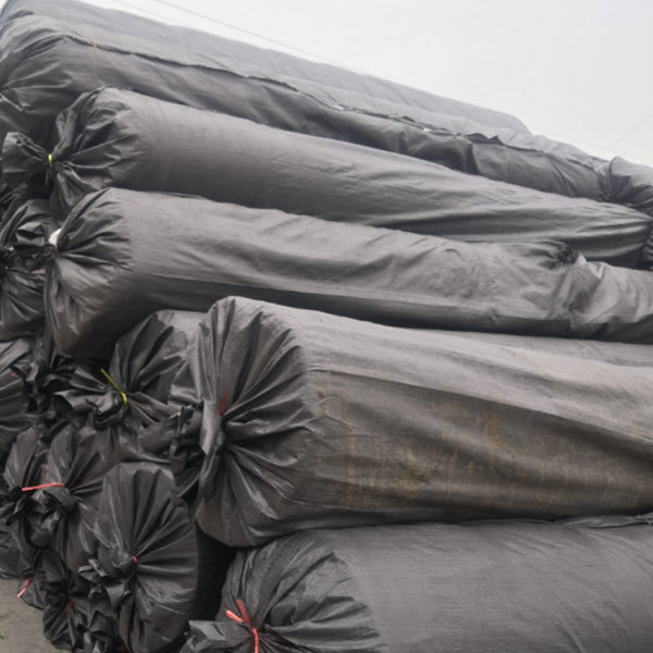 3D Network Composite Drainage Geonet