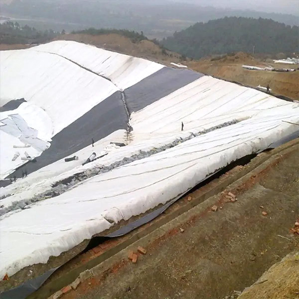Customizable/PV/Total Solution for Projects/Staple Fibers Needle Punched Nonwoven Geotextiles for Corrosion Resistance