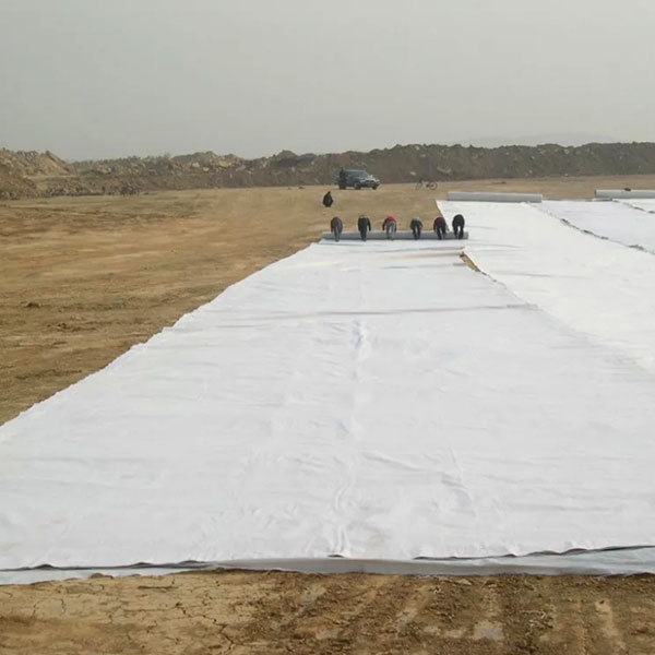The Continuous Filament Non-woven Geotextile