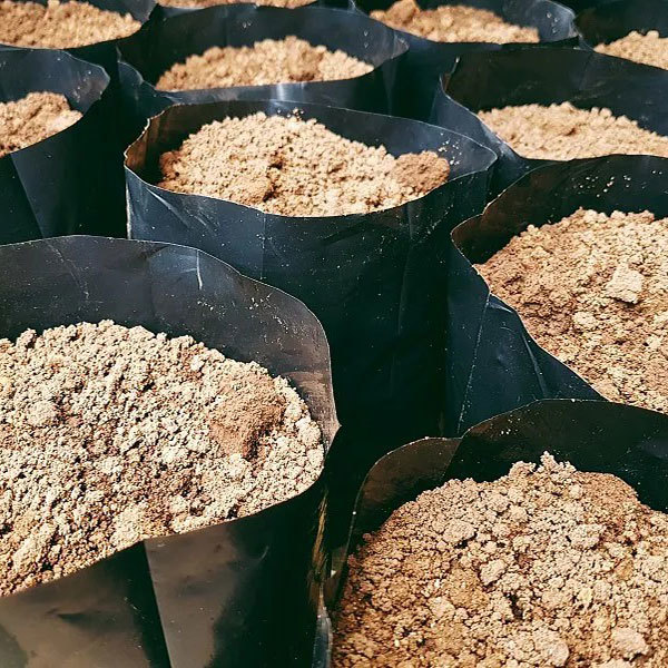 Geotextile Planting Grow Bags Used for Environmental protection